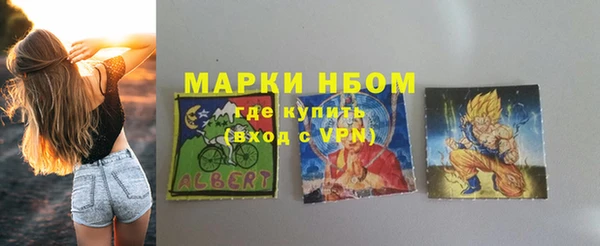 индика Зерноград