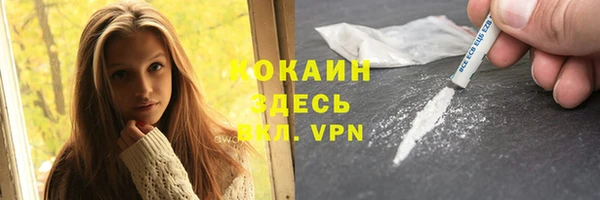 индика Зерноград