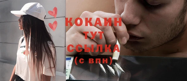 тгк Инсар