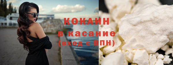 индика Зерноград