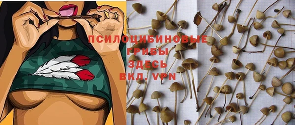 герыч Зеленодольск
