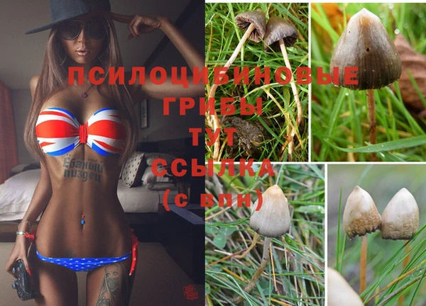 не бодяженный Инта