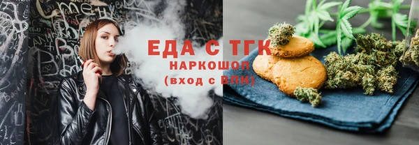 тгк Инсар