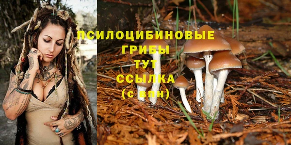 герыч Зеленодольск