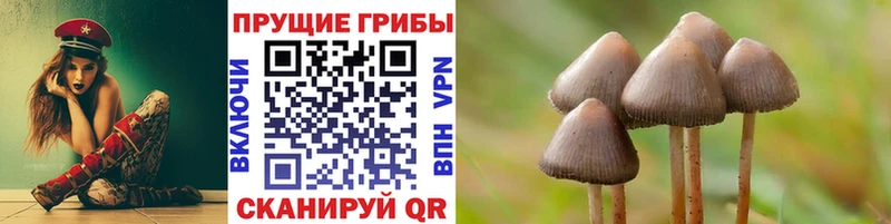 Псилоцибиновые грибы прущие грибы  Купить  Зеленокумск 